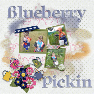 Blueberry Picking