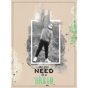 All I need is a dream