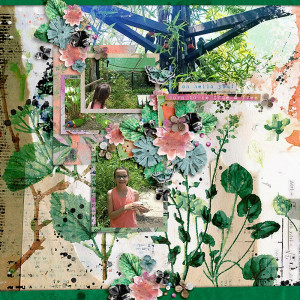 At the Aviary