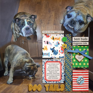 2022_1_Dog Tails