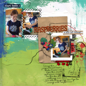 MarTempChall- frozen berry mush
