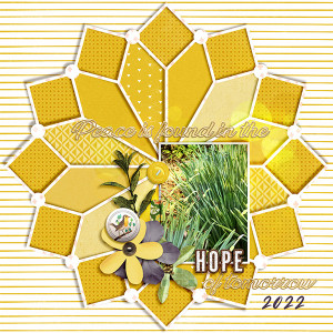 Daffodils