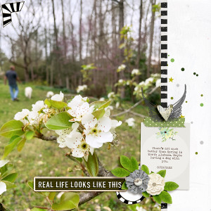 Real Spring