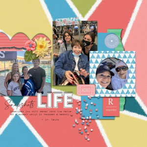 SNAPSHOTS OF LIFE