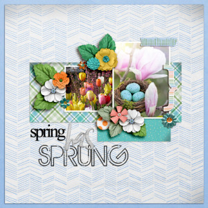 SOSN_mar30_KJ_FDD_Spring Has Sprung