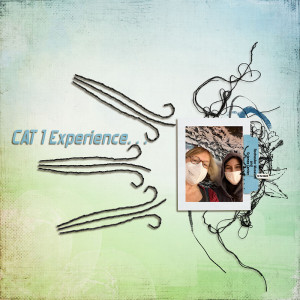 CAT 1 Experience