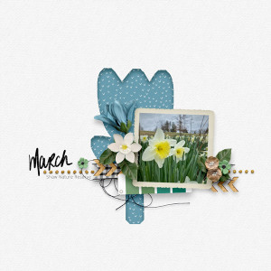 March-Shaw