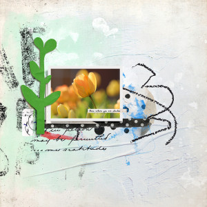 bloom where you are planted