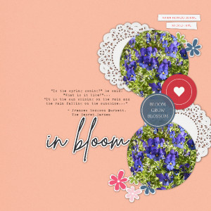 Bloom