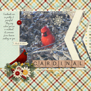 Cardinal