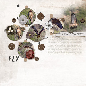 Fly