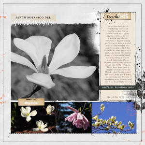 220326_magnolia