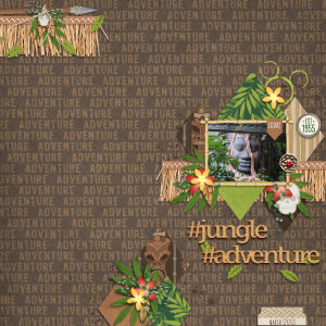 jungle adventure