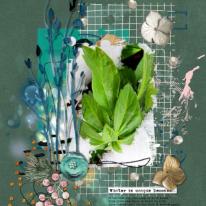 2022-04_April_0401_TLP_Slow-Scrap_NBK-Design_web