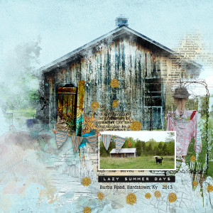 SOSN_apr6_NBK_Lazy Summer Days