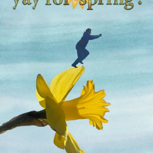 04inspiration-yayspring