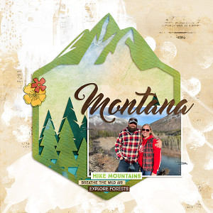 SwL_Apr2022_MIS_Montana