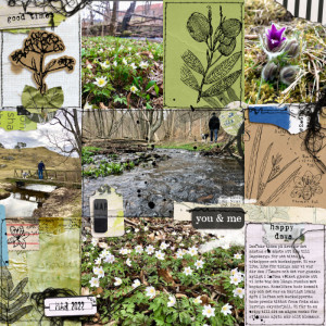 Week 12b 2022