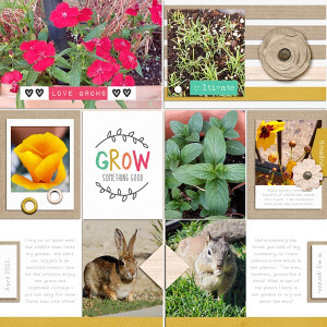 Grow Something Good
