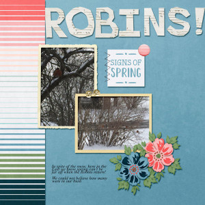 Robins