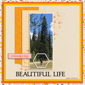 BEAUTIFUL LIFE