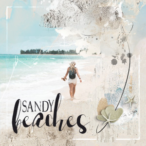 Sandy Beaches