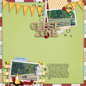 Geese Zone