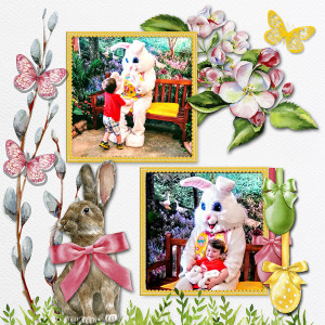 Paula Kesselring Honey Bunny