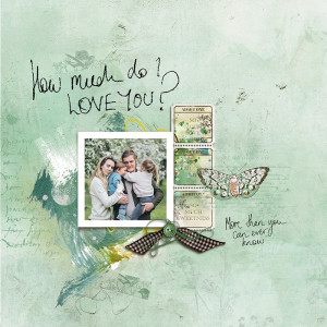How much do I love you?