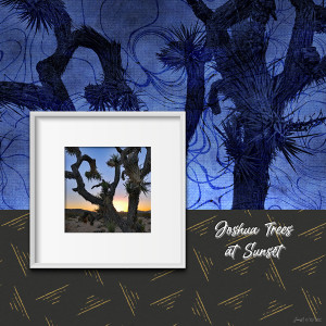 Style_joshuatrees