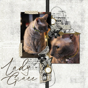 Lady Grace