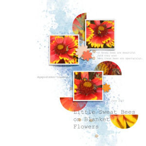 Template Challenge April 2022 Sweat Bees On Blanket Flowers