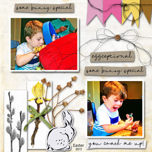 Paula Kesselring Eggstras Bundle
