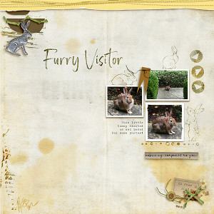 Furry Visitor