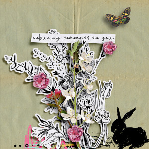 Nobunny compares to you
