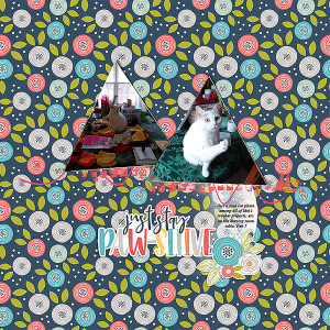 Pawsitively Awesome