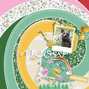 220415_cat Sun
