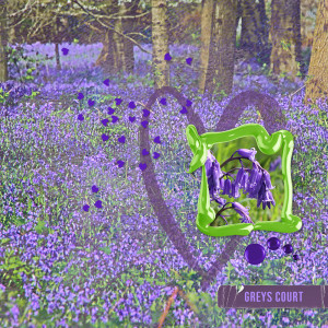 220417_bluebells