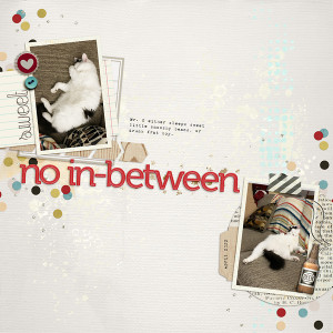 No In-Between