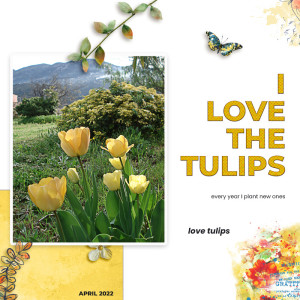 Tulips