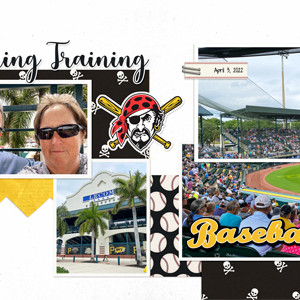 Spring Training