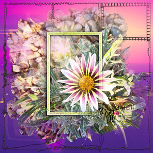Blossom
