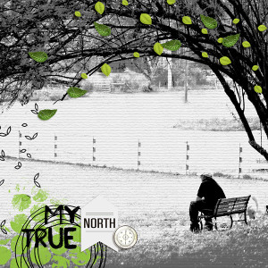 My True North