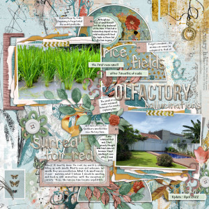 Olfactory Hallucinations