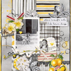Paula-Kesselring_2022-04_April_New_0429_Lemon-Drops_web