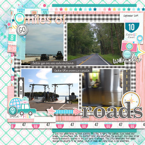 SOSN 2019 Miles of Roads