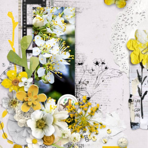 Marilyn_Rachel-Jefferies_2022-05_May_TLP-Challenge_Flowers_web