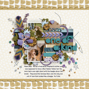 SS_may7_Soco_BB_One Of A Kind
