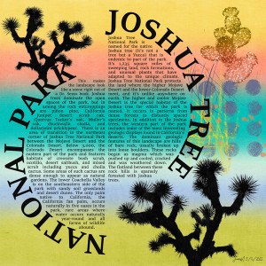 Journaling_joshua Tree