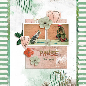 Photo Pause